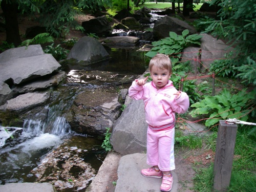 Японский сад