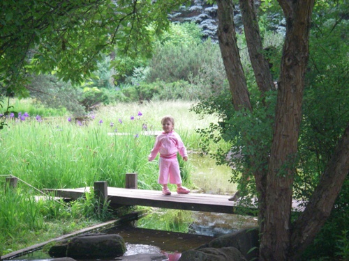 Японский сад