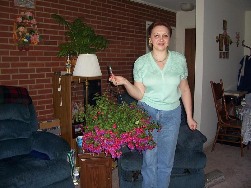 Fucsia. My home- flowers