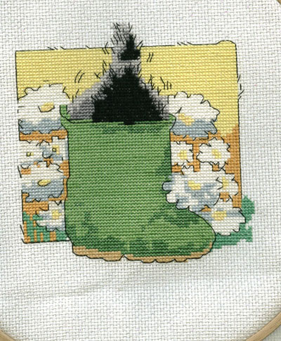 котики от МШ