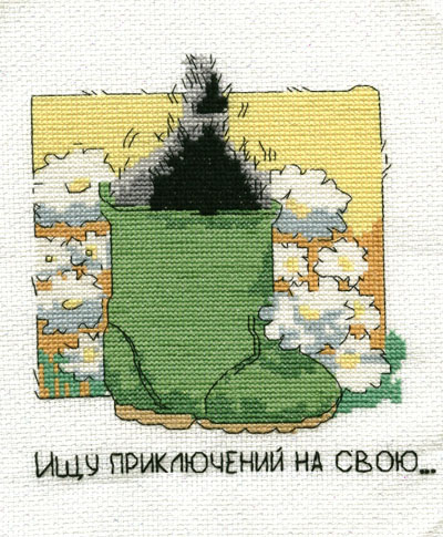 котики от МШ