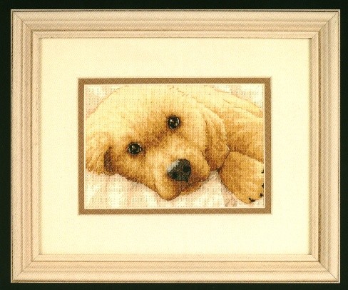 Dimensions Золотой щенок . Процессы