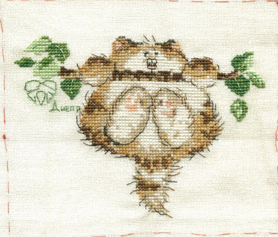 котики от МШ