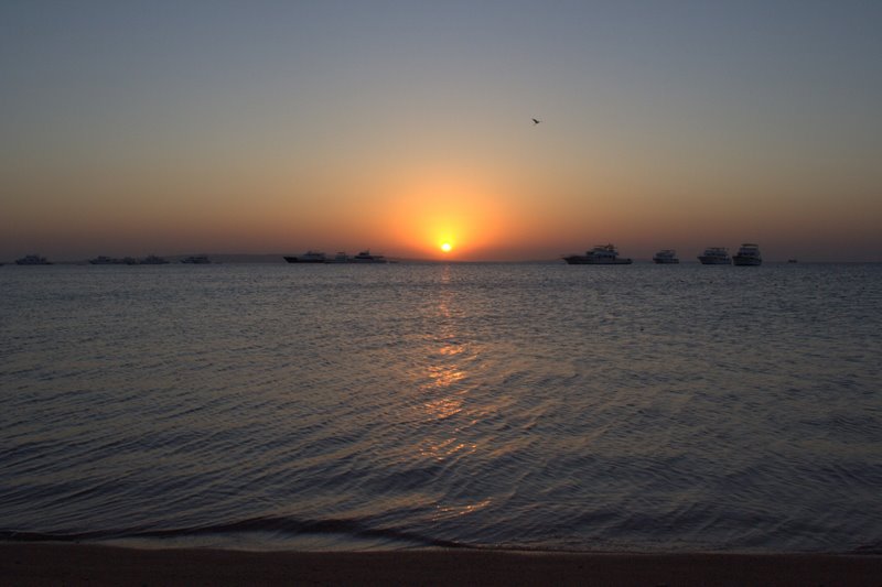 ! Май 2007 (Германия-Египет-Италия)