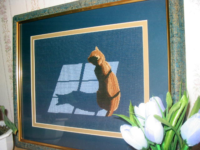 Кот и тень оформлена. Кот и тень