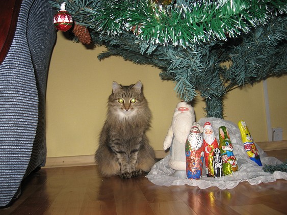 Снегурочку вызывали!. Тинка-картинка!!