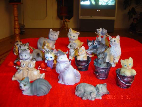Мои кошки