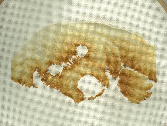 Dimensions Золотой щенок 