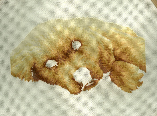 Dimensions Золотой щенок 