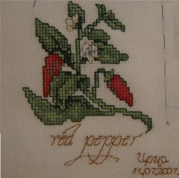 2 этап - Ирча. Aishik - специи