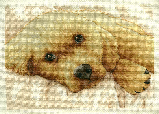 Dimensions Золотой щенок 