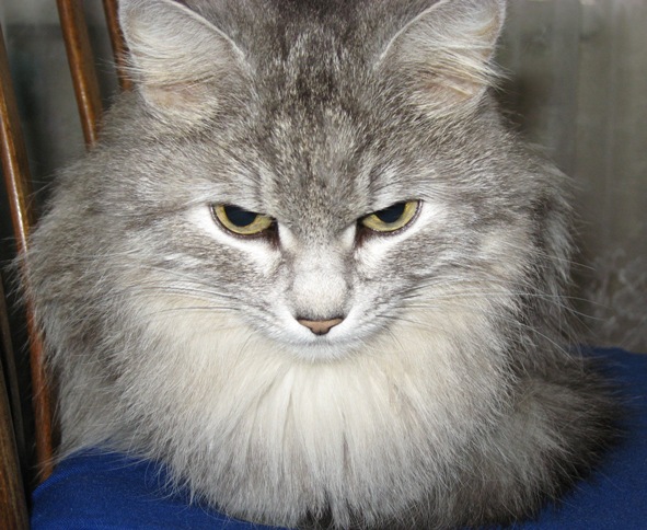 Кусёна на службе :). Кусёна