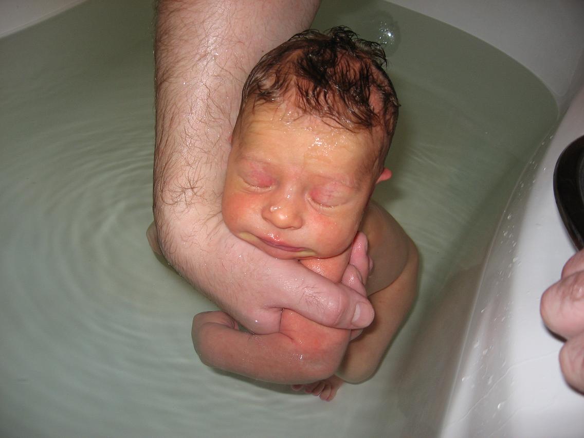 Доплавались!. семья