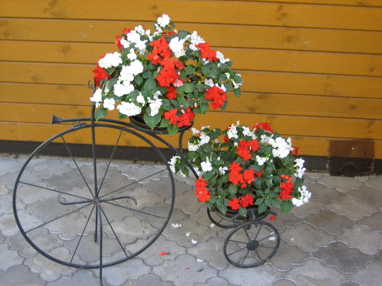 Мамин цветник