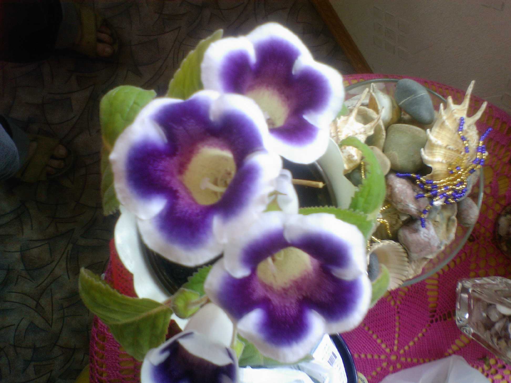 Мамин цветник