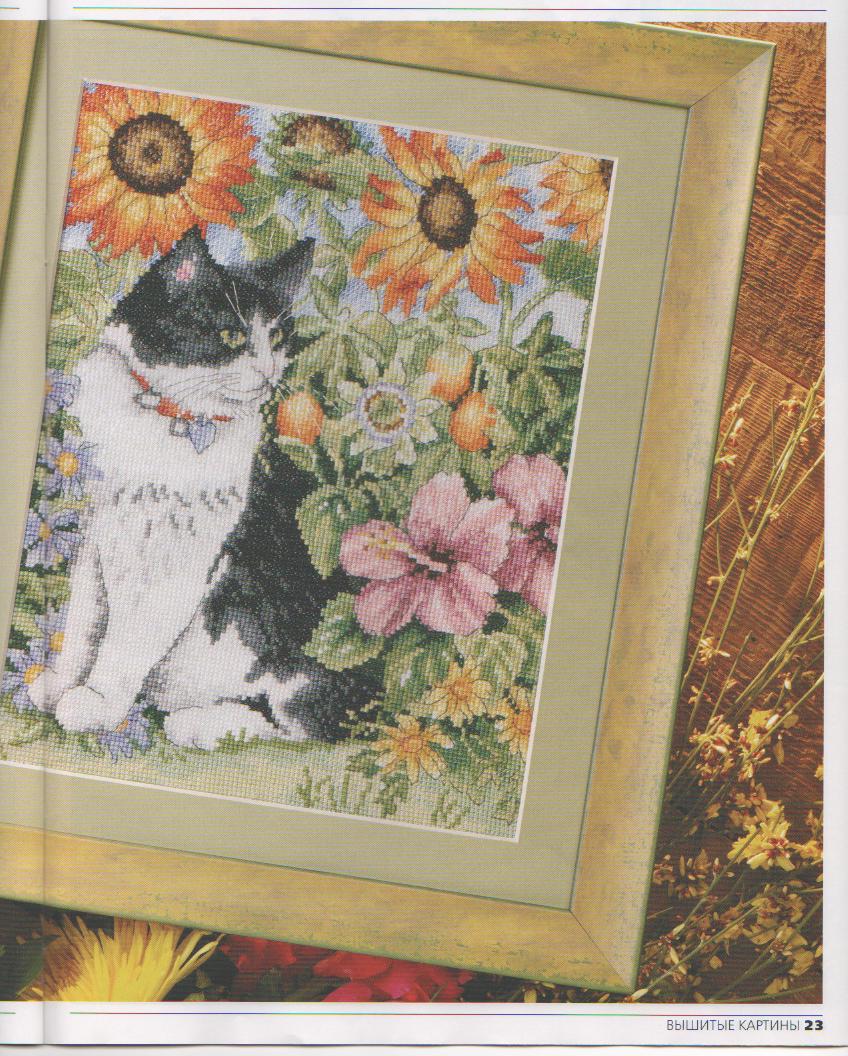 кот в  саду. животные