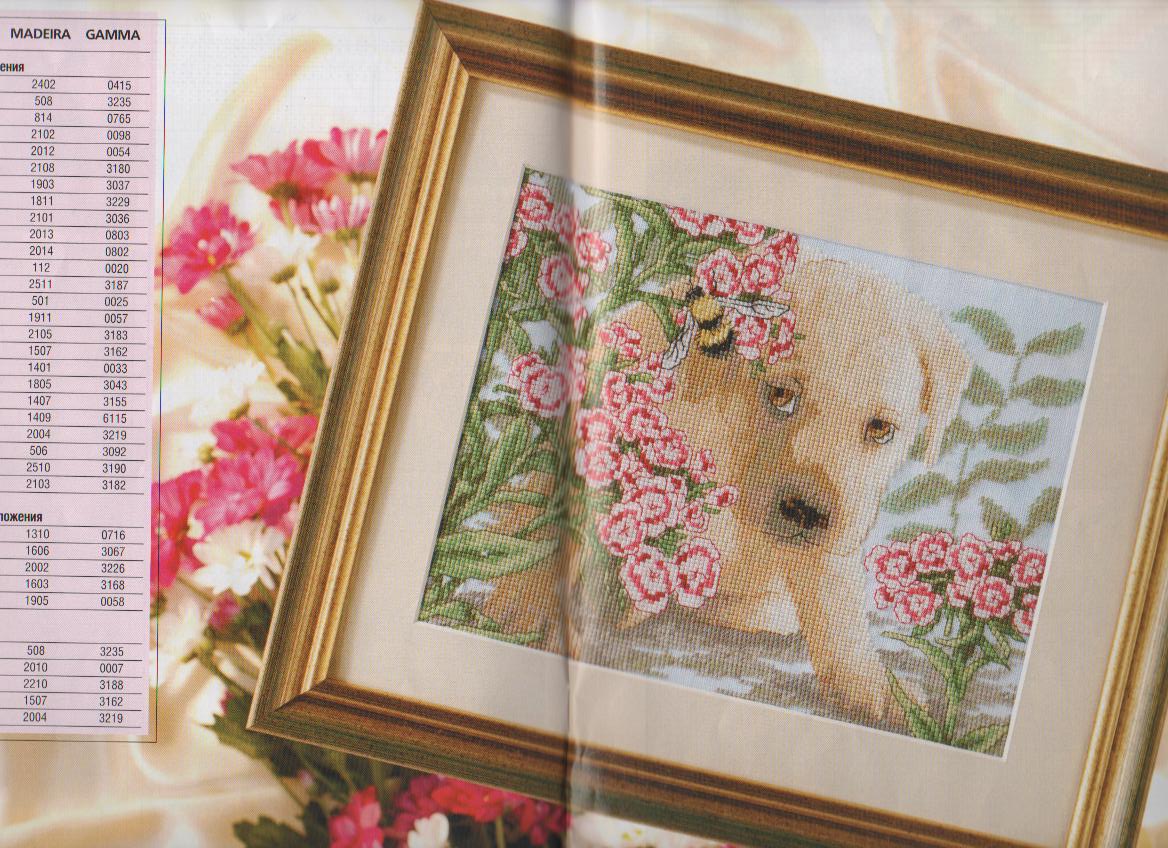 щенок. животные