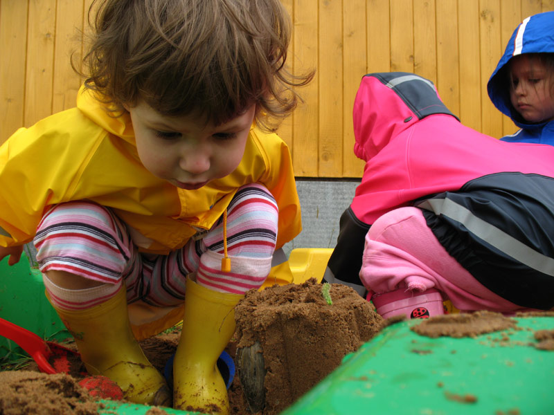 Ищем муравьев. ВАЛДАЙ 2007