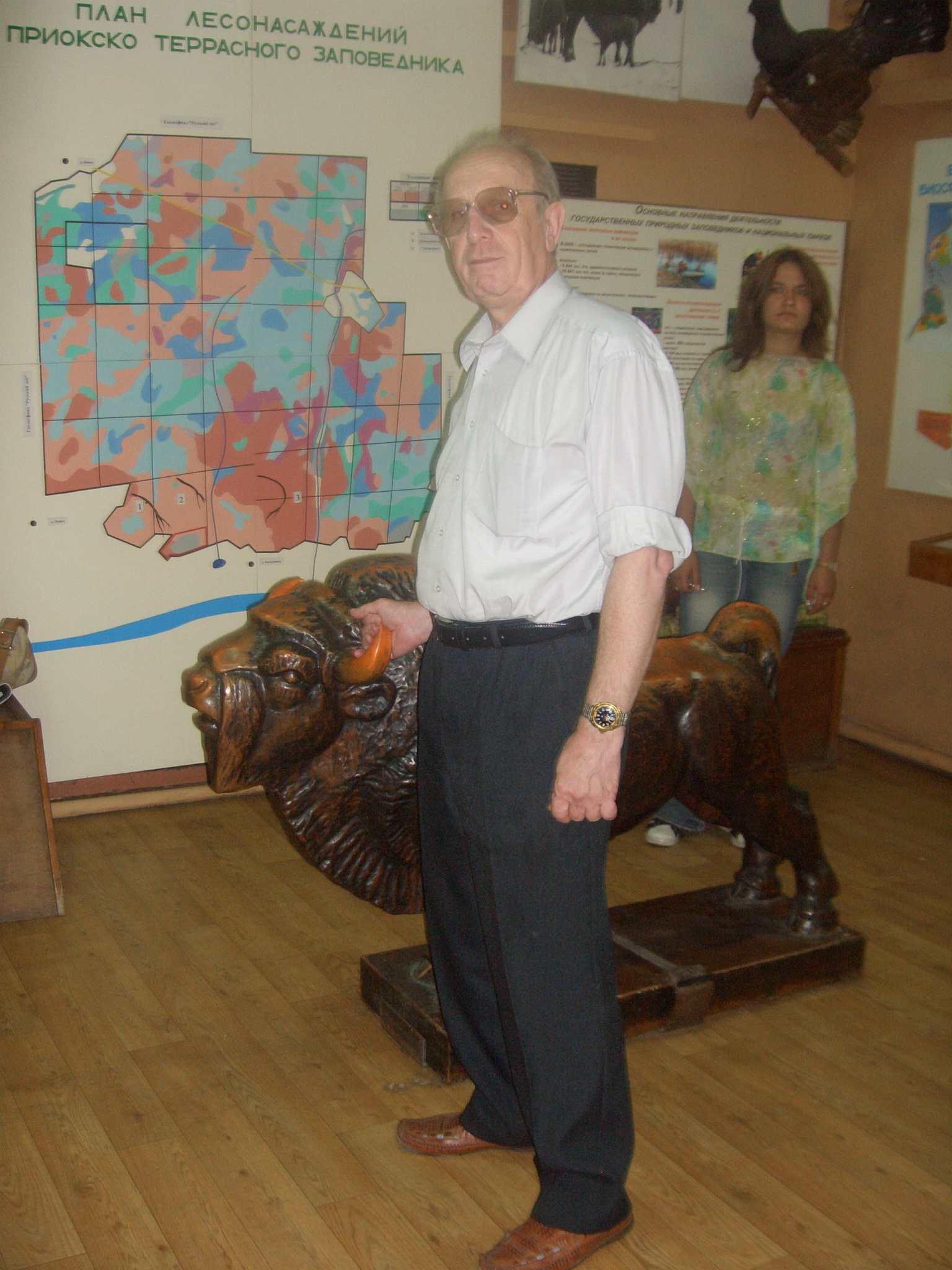 Бронзовый зубр три. 