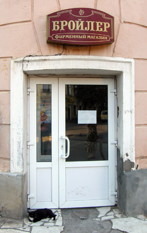 Кот сторожевой. Коты новгородские