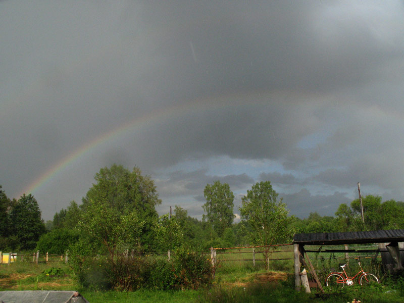 Природа и букашки-таракашки