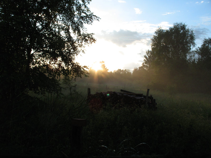 Природа и букашки-таракашки