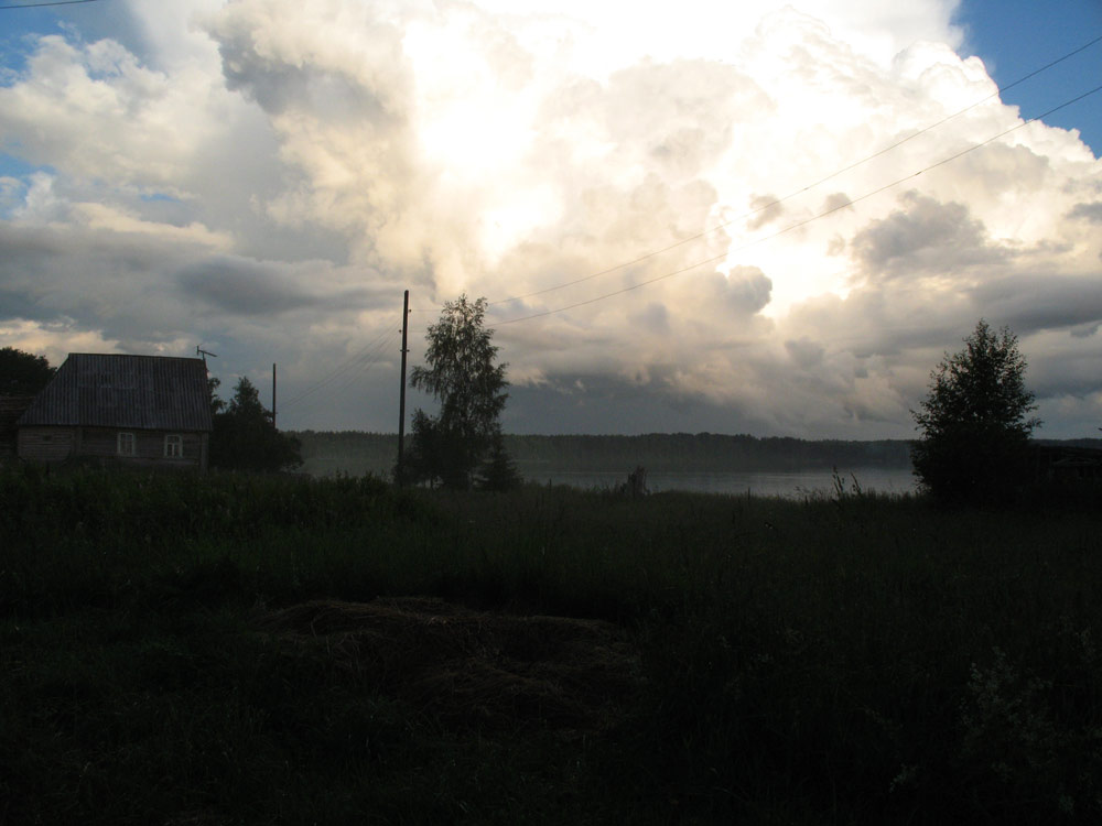 Природа и букашки-таракашки