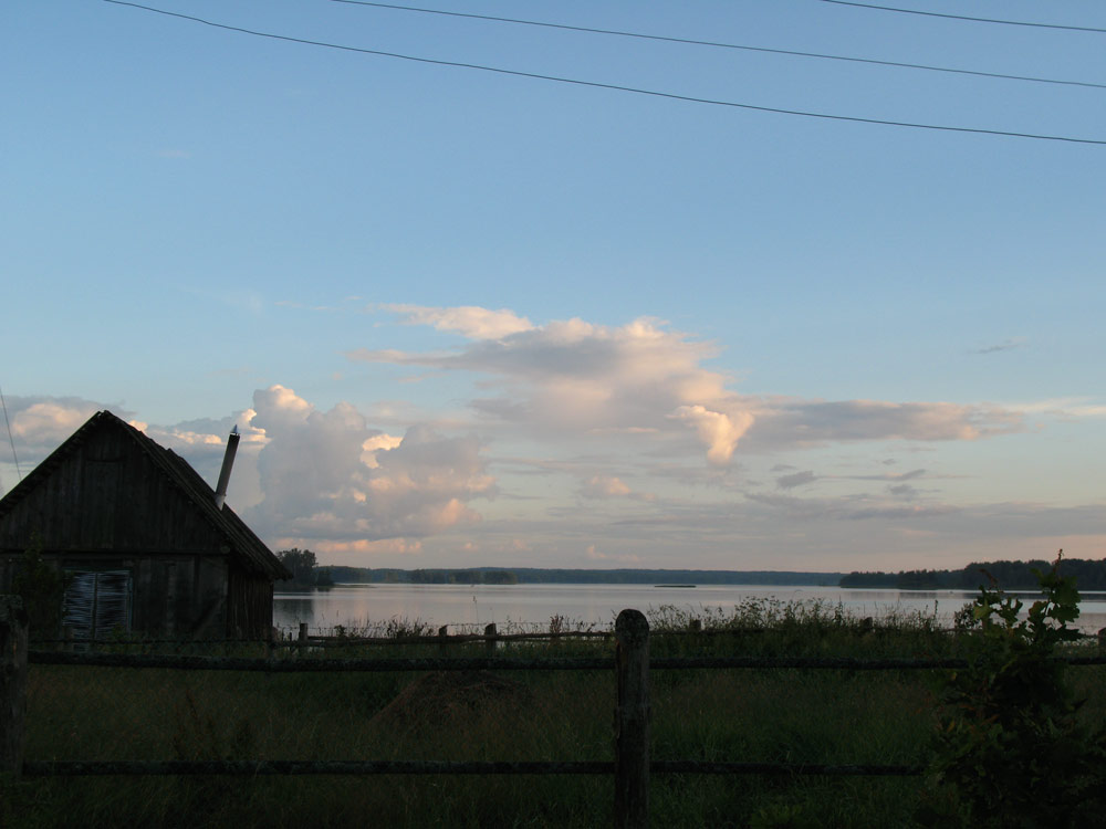 Природа и букашки-таракашки