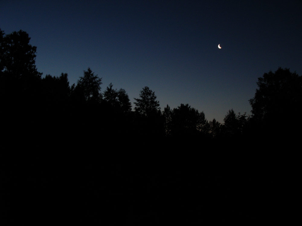 Природа и букашки-таракашки