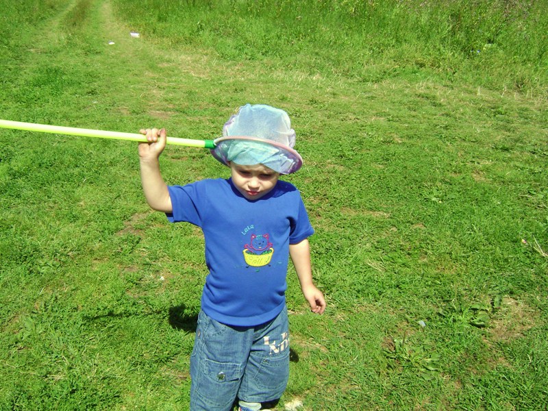 Почему - то бабочек нет!?. 