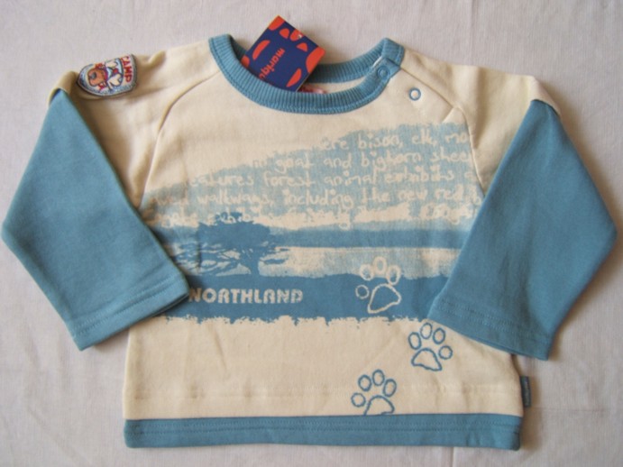 Толстовка на флисе, арт.31143. архив