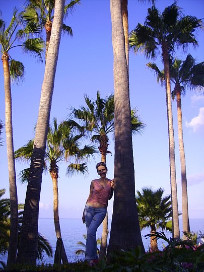 Пальмы. Тенерифе