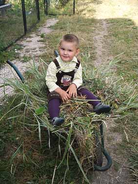 Миша. Дачное лето 2007