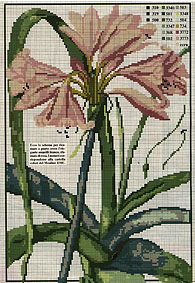 040. Поделюсь схемками