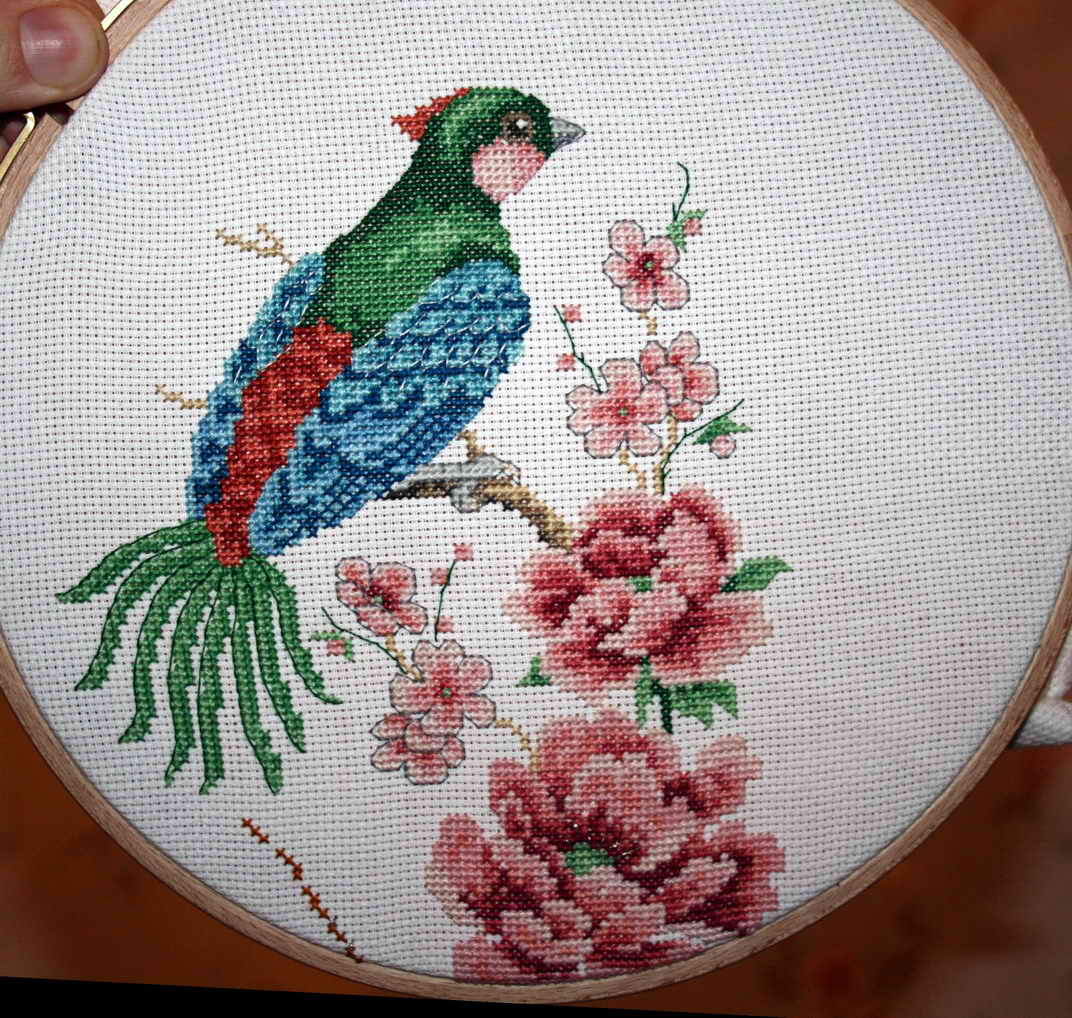 Продолжение. Феникс и пионы