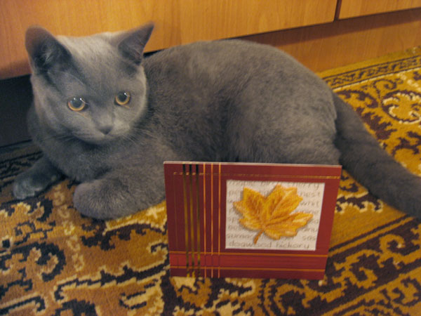 Открыточный проект