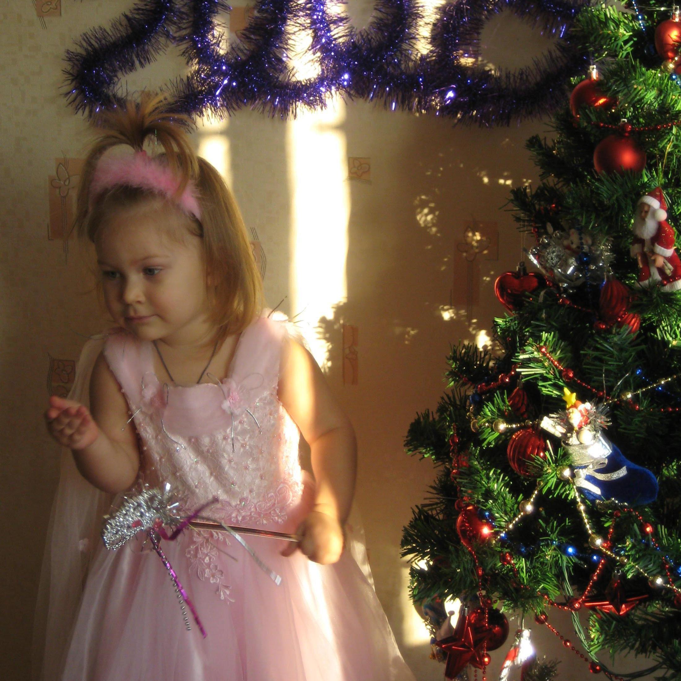 Новая папка