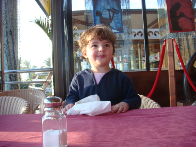 несут!!!. Канары