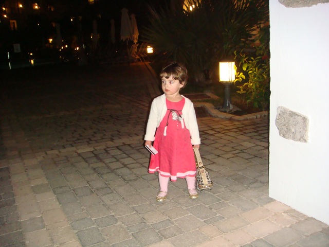 окончен бал, погасли свечи.. . Канары