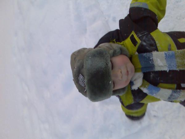 Новый год 2008