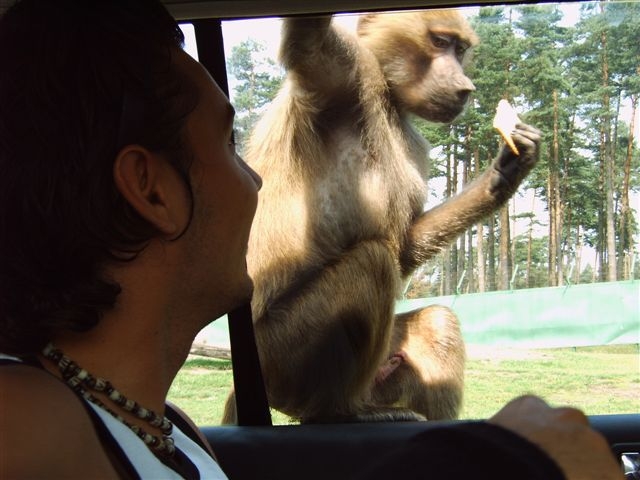 Личные фото