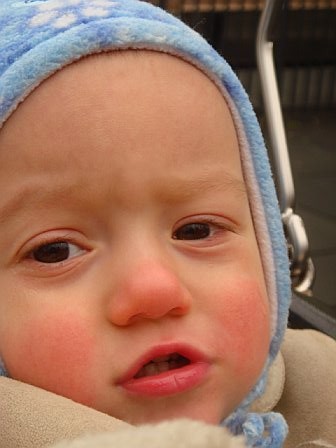 Ноябрь 2007 - Январь 2008