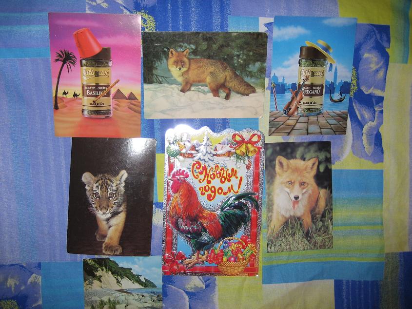 Разные наши. Открытки (некоторых нет)