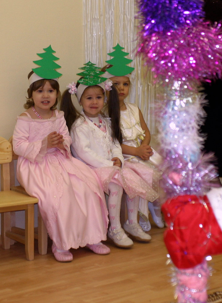 Новогодний утренник у Ани