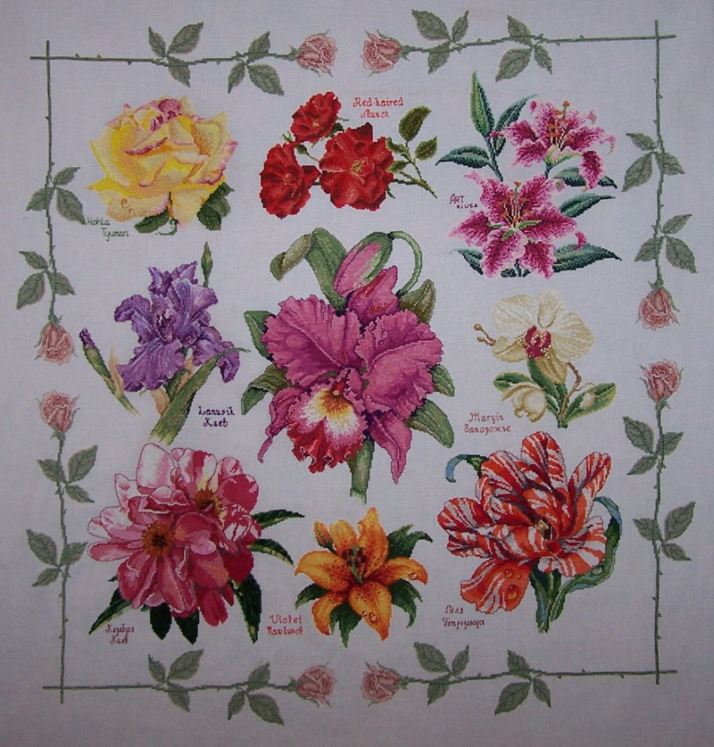 Цветы. РОБИН 2007 