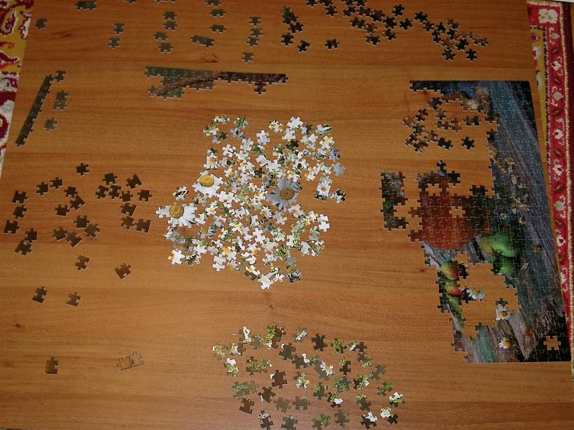 Ромашки 1. Пазлы