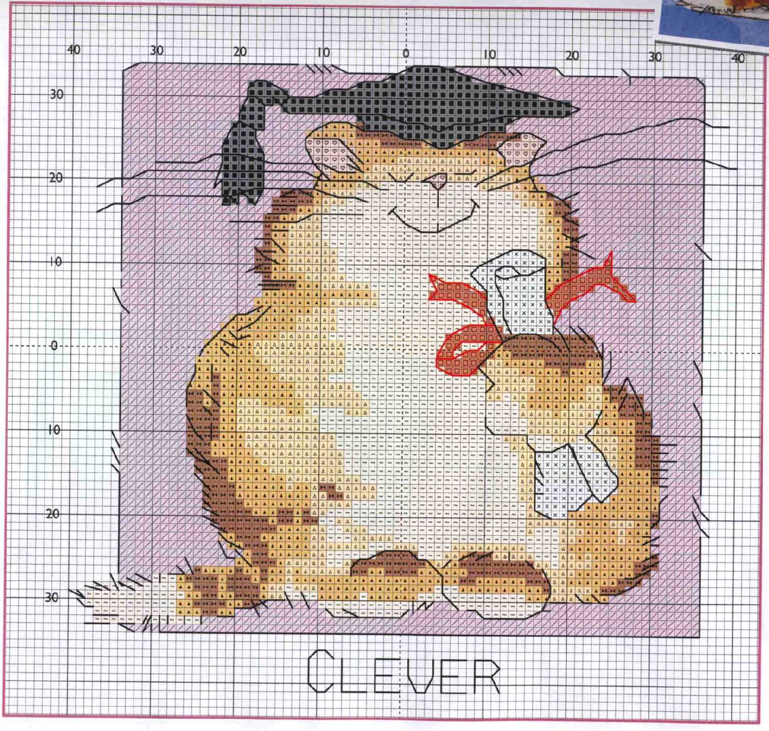 кот м.шерри схемка. коты м.шерри