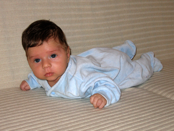 Мой сыночек. Ушастик