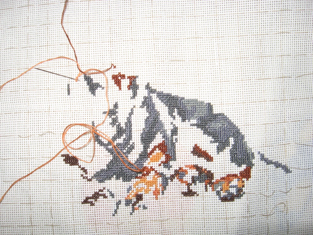 16 сентября. Такса (Riolis)