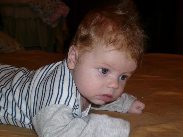 Анютка 3,5 мес.. Аннушка